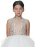 Stand-up Collar Beaded Ivory Tulle Shimmering Flower Girl Dress